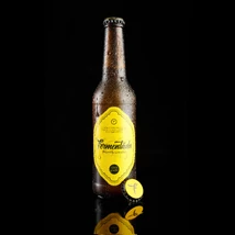 Fermentáda GUARANA 330 ml 