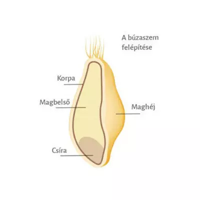 Spájzold Be! Királybúza liszt KBL 120  - 1 kg